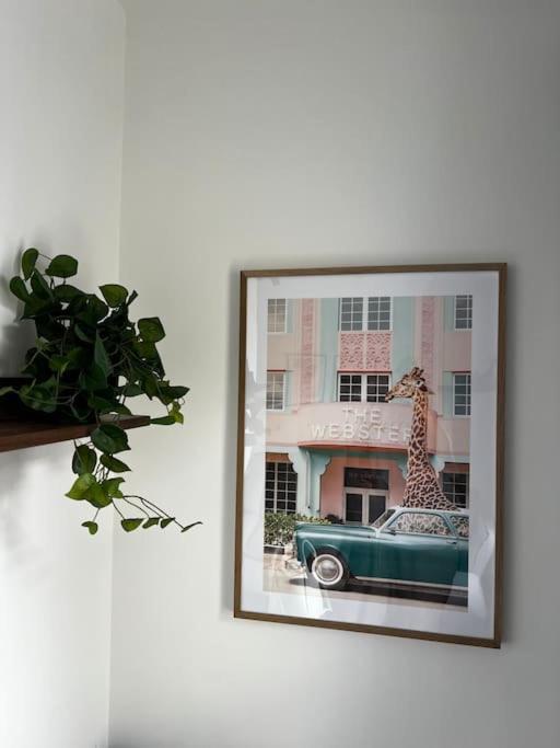 Central Chic 3 Bed, Great Location Winchester Exteriér fotografie